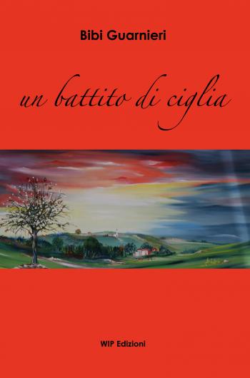 Presentazione del libro un battito di ciglia