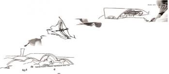 Un Secolo di Curve Eleganti, Omaggio a Oscar Niemeyer