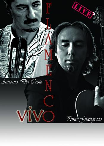 Flamenco Vivo in concerto