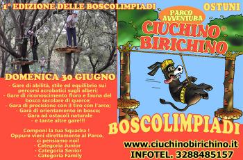 Prima edizione delle Boscolimpiadi