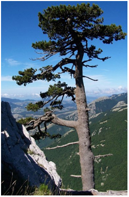 Fine settimana ed escursioni nel Parco del Pollino