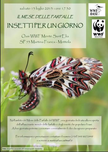 Insetti per un giorno - un' iniziativa del Wwf Martina Franca per il 'Mese delle Farfalle'