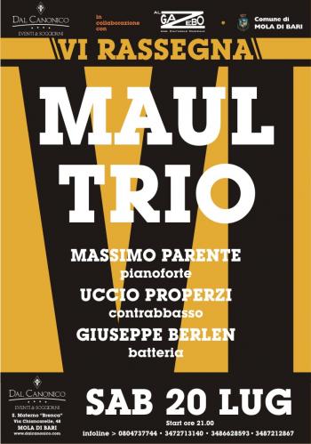 Maul Trio in concerto