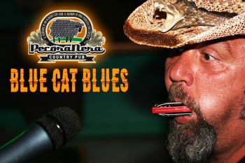 Blue Cat Blues in concerto
