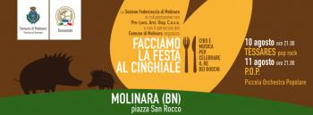 Facciamo festa al Cinghiale