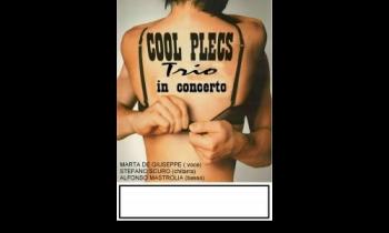 Cool Plecs Trio in concerto