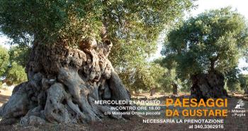 Paesaggi da Gustare - i Millenari della Via Traiana