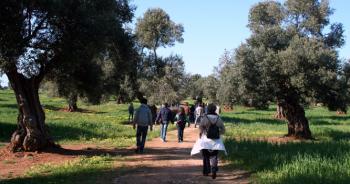 I tesori della via Traiana