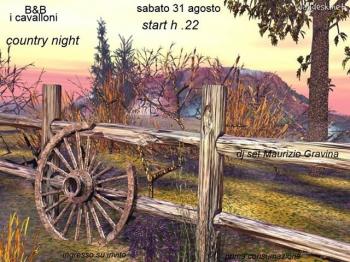 Country night