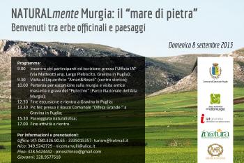 NATURAlmente Murgia: il “mare di pietra” - Benvenuti tra erbe officinali e paesaggi