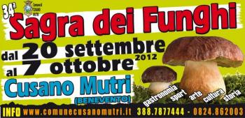 Sagra dei Funghi