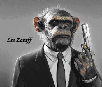 Les Zaraff Live