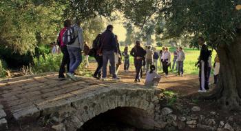 Antichi Frantoi - a piedi lungo la via Traiana
