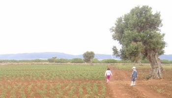 L'orto in masseria