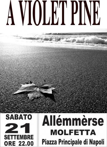 A Violet Pine in concerto