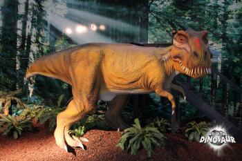 Days of the Dinosaur - Come passeggiare per Jurassic park