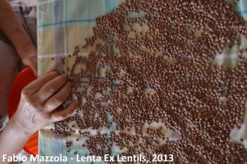 Il Museo e il suo territorio. L’idea e la materia