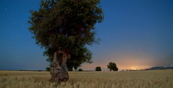 Al Chiar di Luna - Campi di Stelle