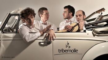 i Tribemolle in concerto