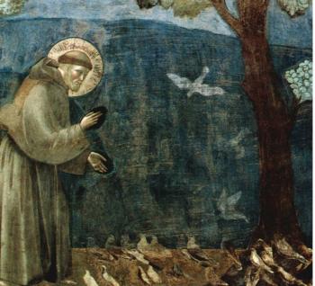 Il Cantico delle Creature