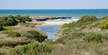 La Domenica del Picnic - Masseria Lamasanta e il bosco di Costa Merlata