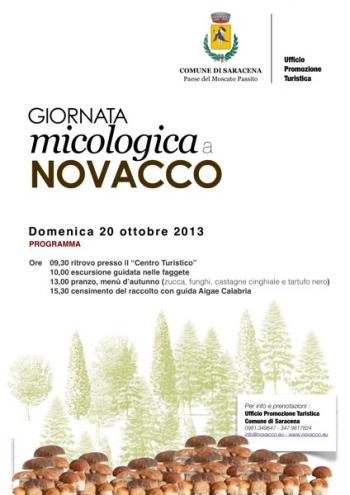 Giornata Micologica sul Pianoro di Novacco