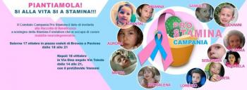 Raccolta di beneficenza a sostegno di Stamina Fondation