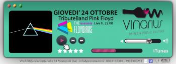 The Floydians  tribute band Pink Floyd