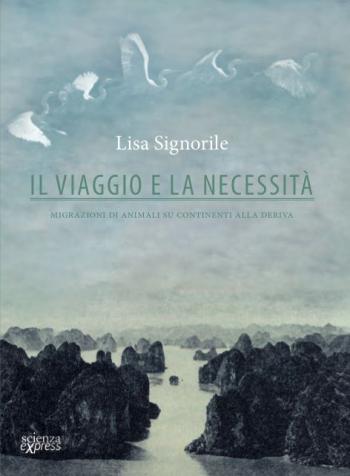 Il viaggio e la necessità