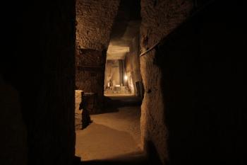 II edizione di Trekking Urbano a Napoli