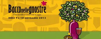 Bacco nelle Gnostre 2013