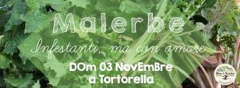 Malerbe. Infestanti, ma con amore