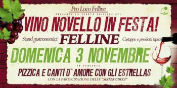 Vino novello in Festa