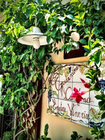 Il Giovedì del Novello