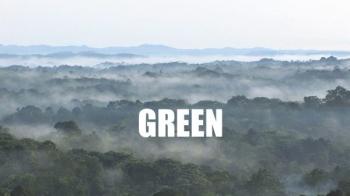 NaturalMente Green