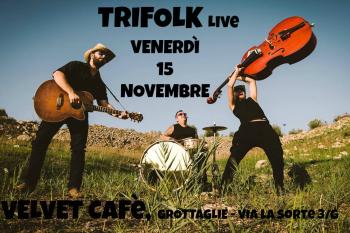 Trifolk live