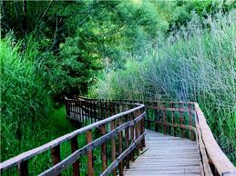 Convegno “La rete ecologica del salernitano: tutela della natura e sviluppo socio economico”