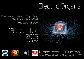 Electric Organs: Pierpaolo Leo e Toy Boy