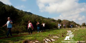 Escursione ai piedi della collina