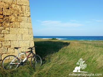 Cicloescursione del sabato