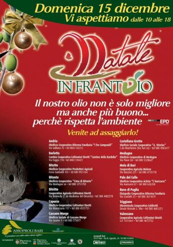 In Natale in frantoio della Cooperativa I Tre Campanili
