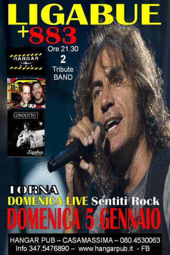 Tribute Night - LIGABUE vs 883