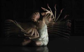 Moving Virtual Bodies 2013