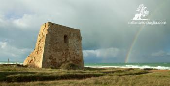 Escursione tra i ginepri secolari di Torre Pozzelle