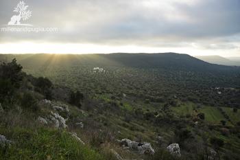 Trekking panoramico da Agnano al bosco di Sant’Oronzo