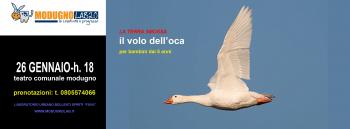 Il volo dell'oca