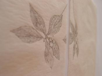 Dialogo sul Disegno