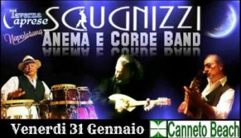 Anema e Corde in concerto