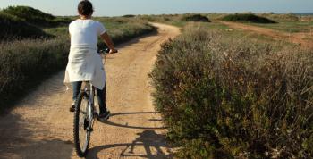 In Mountain Bike tra i profumi del mare e gli ulivi millenari