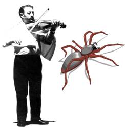 Centenario del Maestro Stifani, il violinista terapeuta delle tarantate